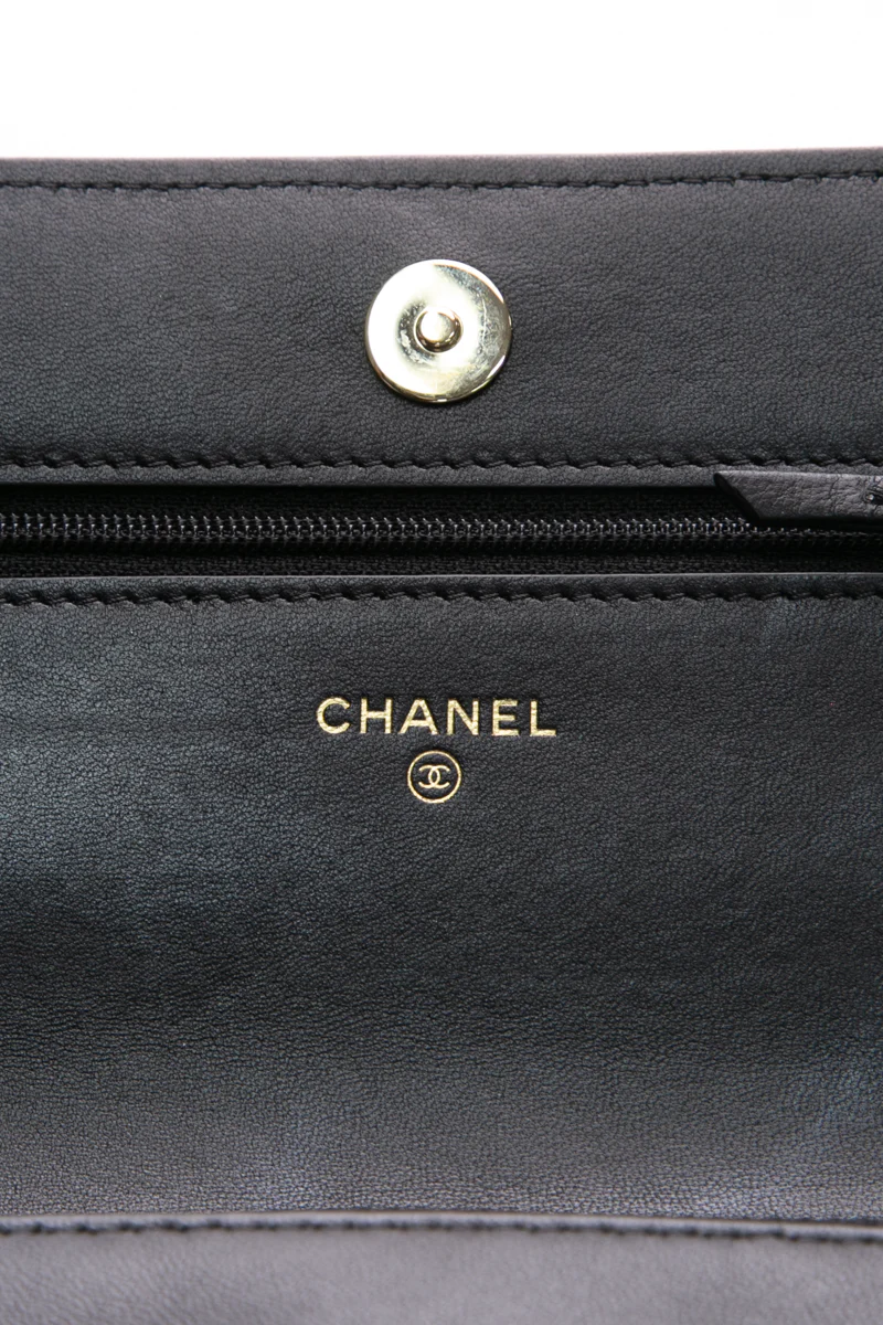 Pearl Wallet on Chain Bag - Image 14
