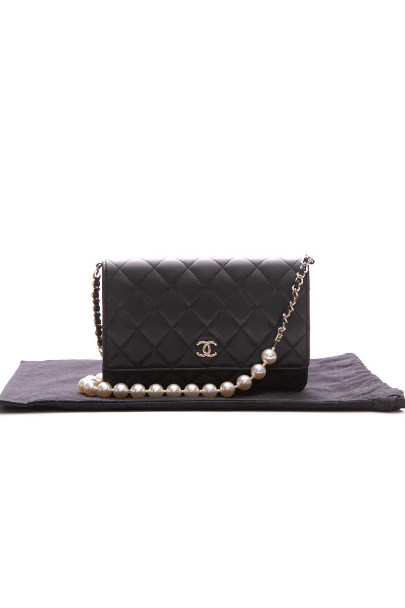 Pearl Wallet on Chain Bag - Image 15