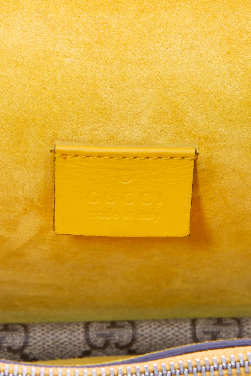 Dionysus Small Flap Bag - Image 12