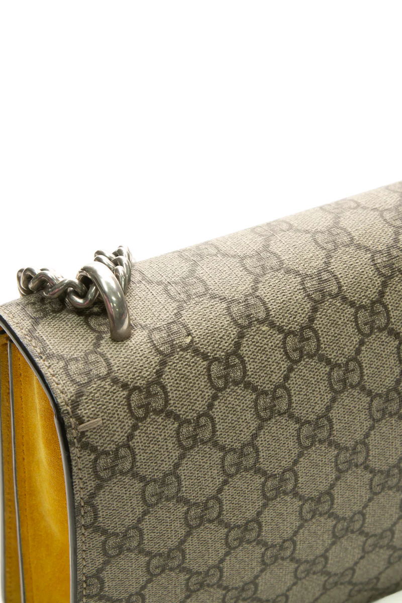 Dionysus Small Flap Bag - Image 9